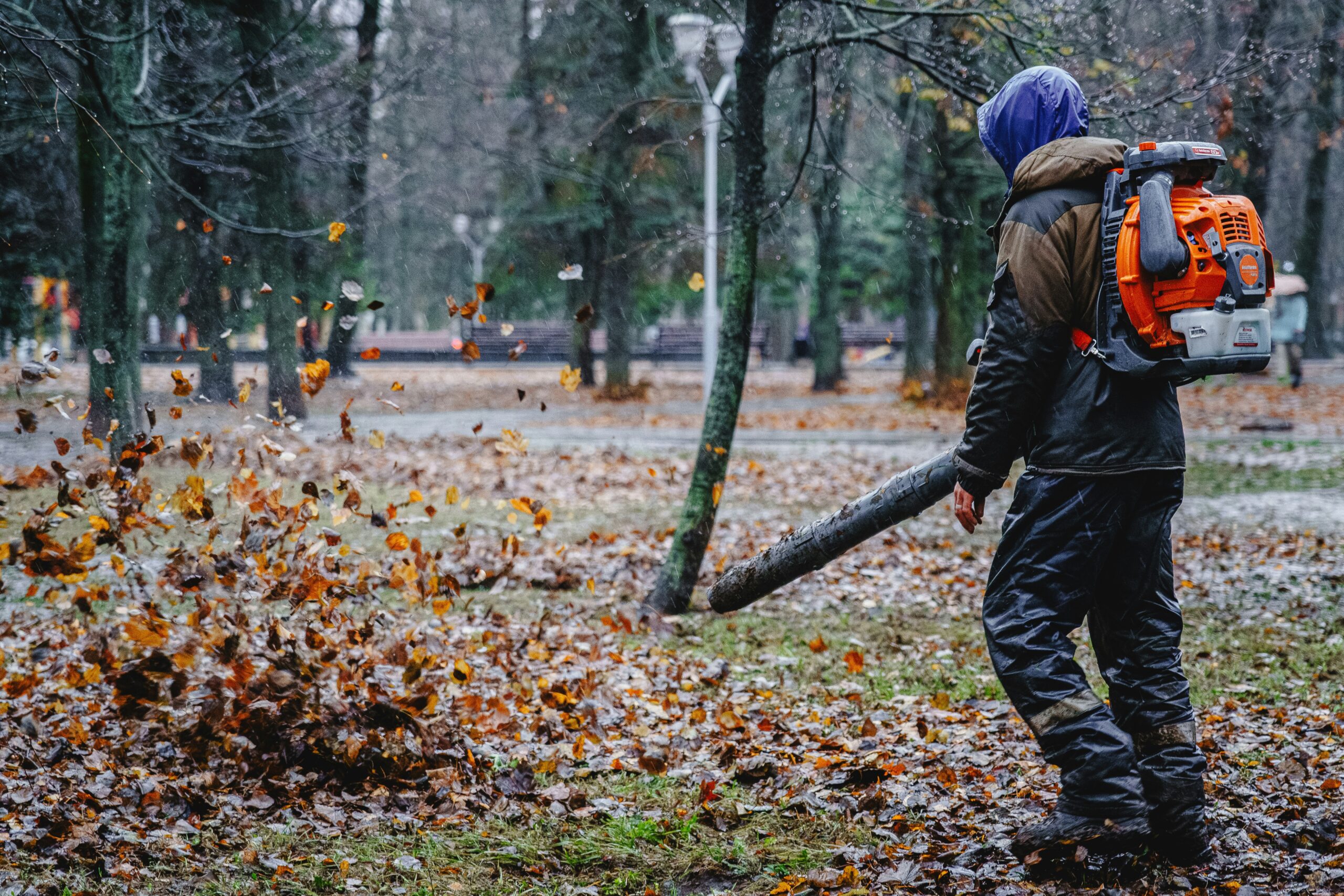 Leaf Cleanup and Removal services in Northern Virginia by Sunnyside Landscape and Design